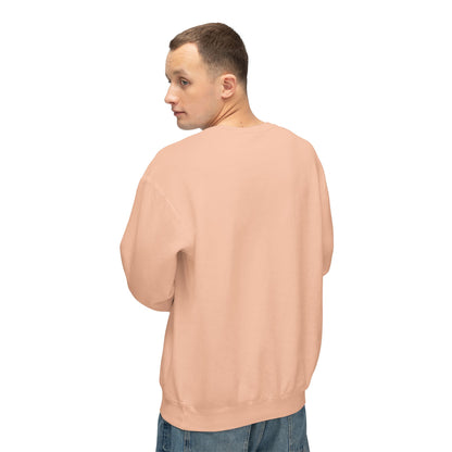 #AccusationsAreConfessions #NADDAProphet Unisex Lightweight Crew-neck Sweatshirt